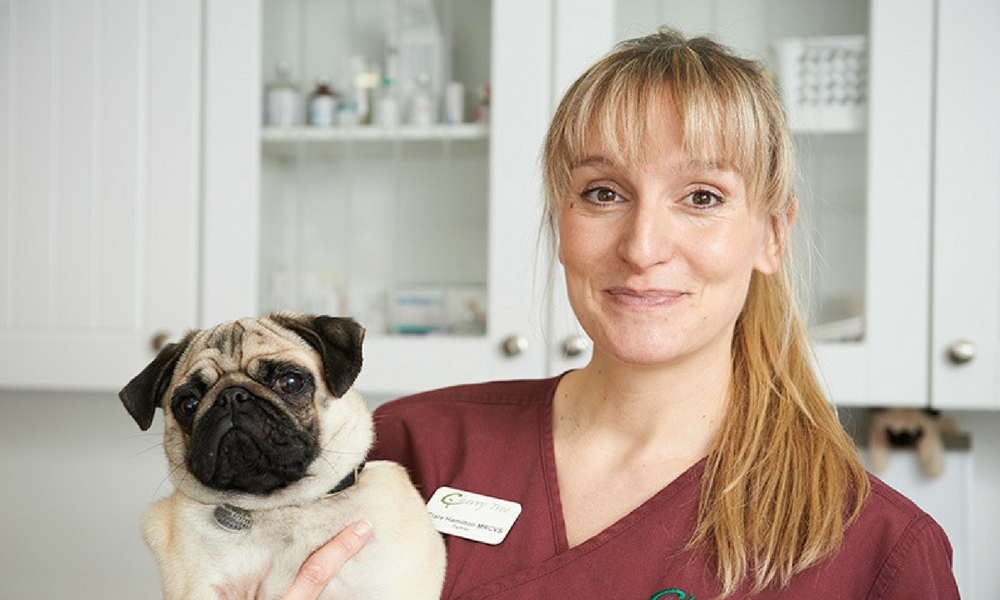 Mums in Business featuring Cherry Tree Vets