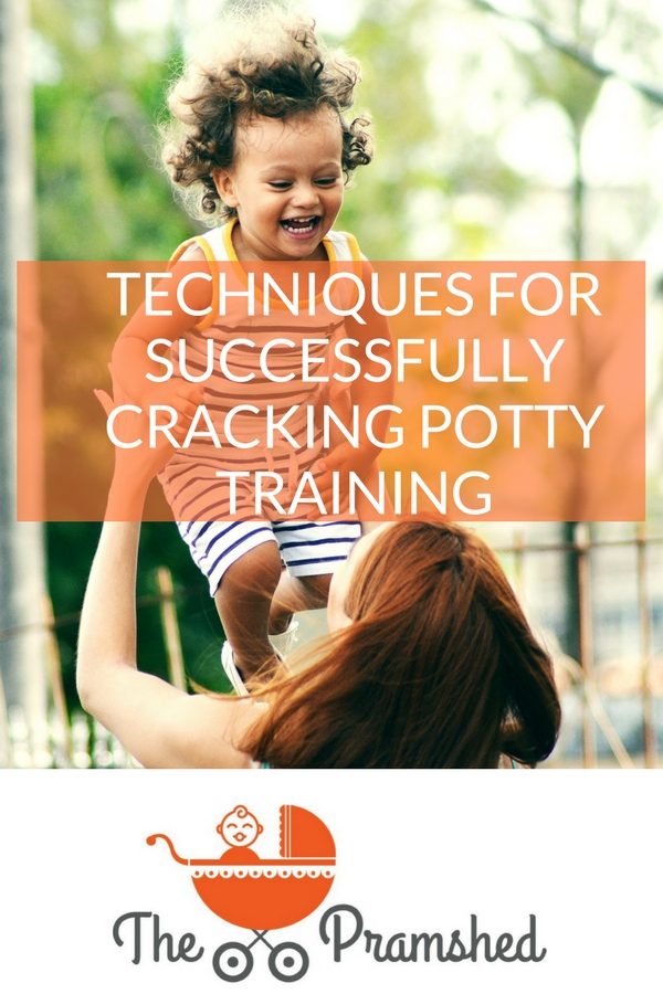 Techniques for successfully cracking potty training