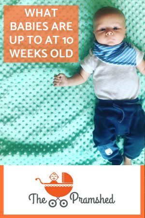 What babies are up to at 10 weeks old