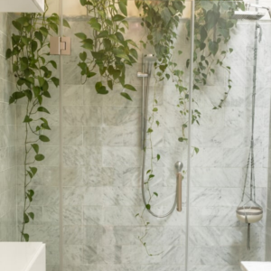 Beautiful bathroom using plants to add a sense of calm and tranquility to the space