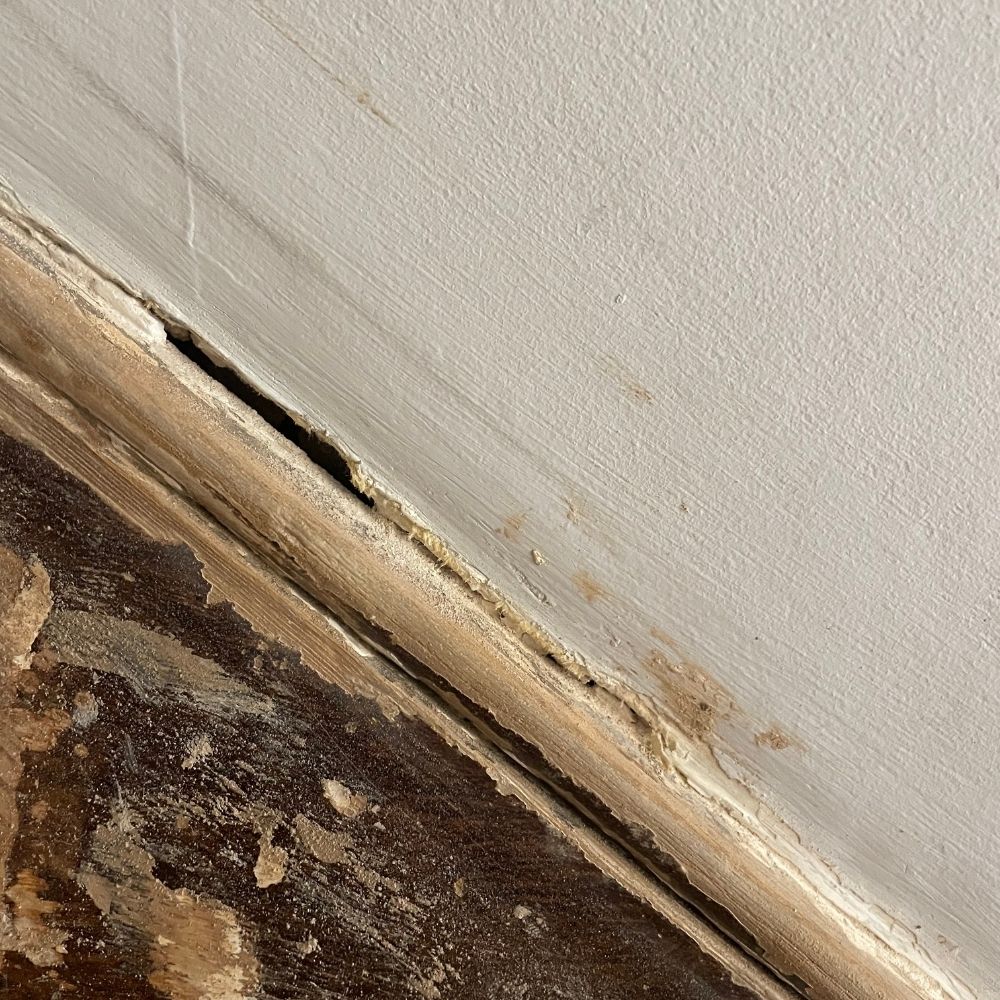 The holes found in the wall between the skirting board and the wall found once all the old paint had been removed. 